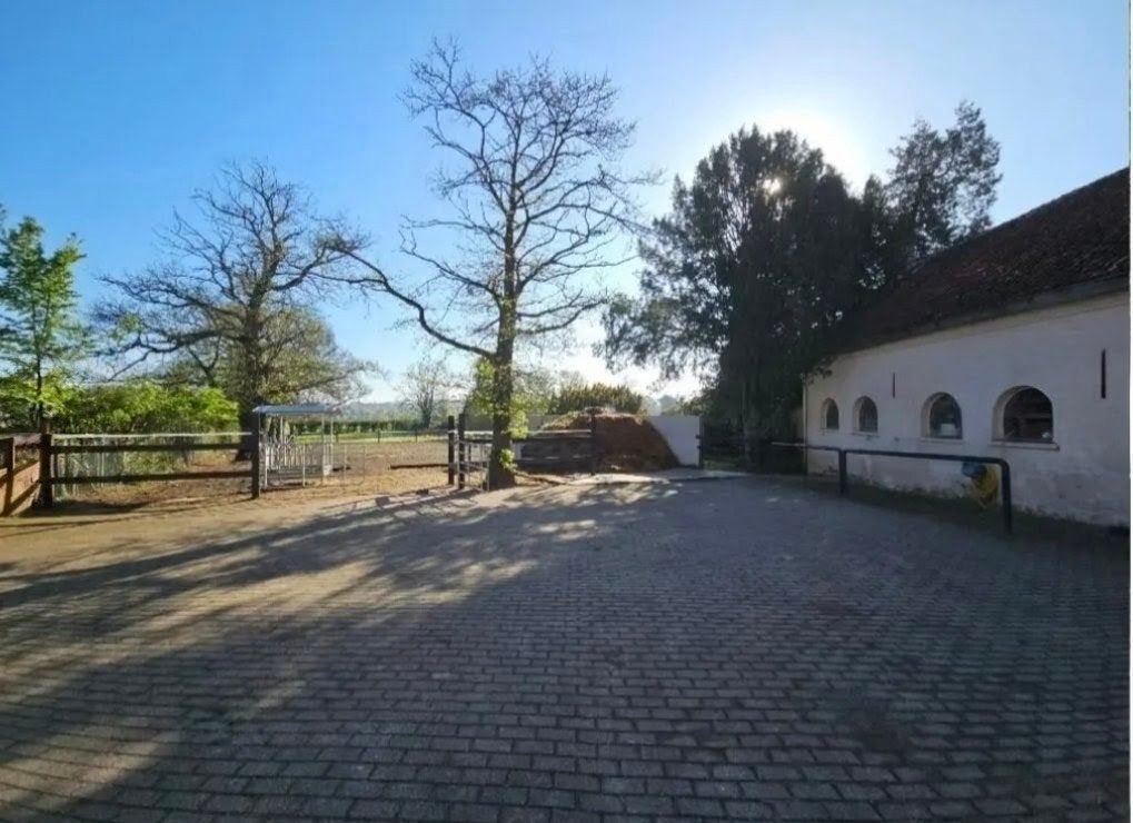pension Meerdaalwoud, Mise à l'étable, 1 cheval ou poney