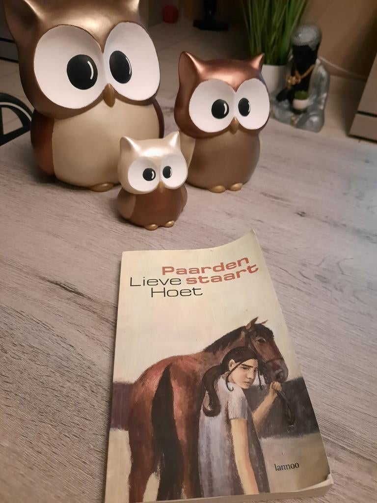Lieve Hoet - Paardenstaart, Ophalen of Verzenden, Gelezen, Lieve Hoet