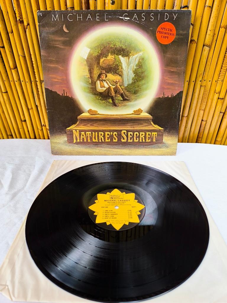LP / vinyl 33t Michael Cassidy "Nature's Secret" 1979 promo, Cd's en Dvd's, Ophalen of Verzenden, Gebruikt, 12 inch