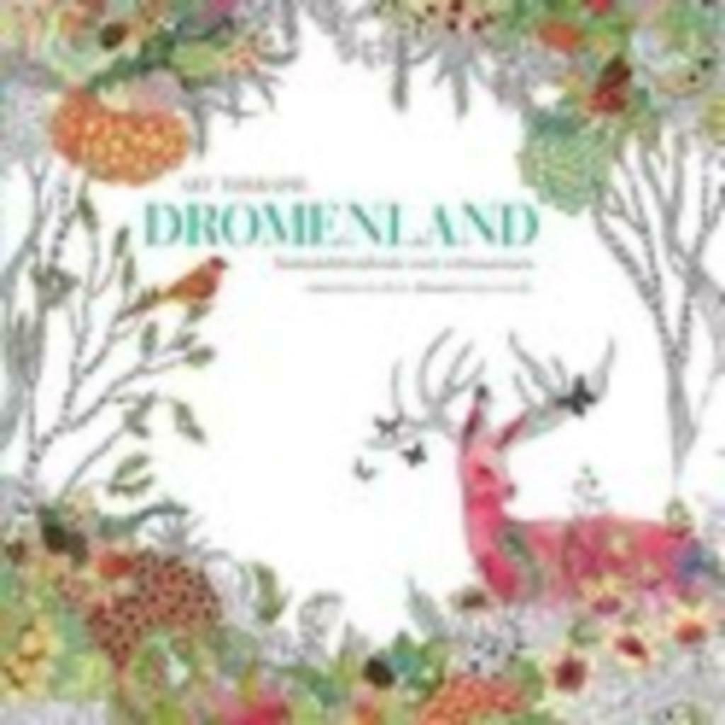 Dromenland fantasiekleurboek voor volwassenen art therapie, Ophalen of Verzenden, Nieuw, Overige typen