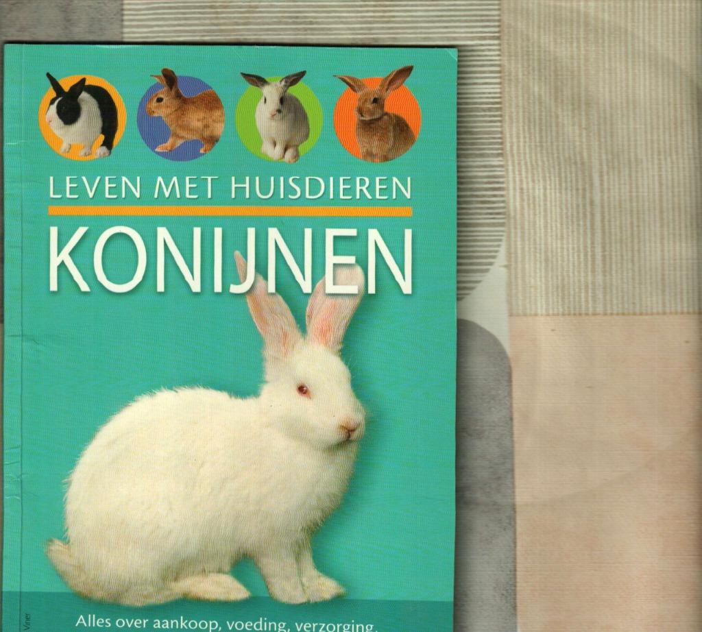 Konijnen Leven met huisdieren Harry Naus 31 blz, Enlèvement ou Envoi, Comme neuf