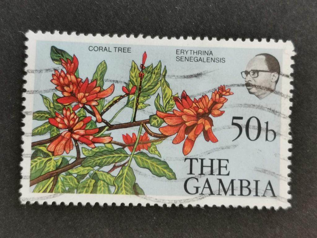 Gambie 1977 - fleurs - arbre de corail, Enlèvement ou Envoi, Autres pays, Affranchi