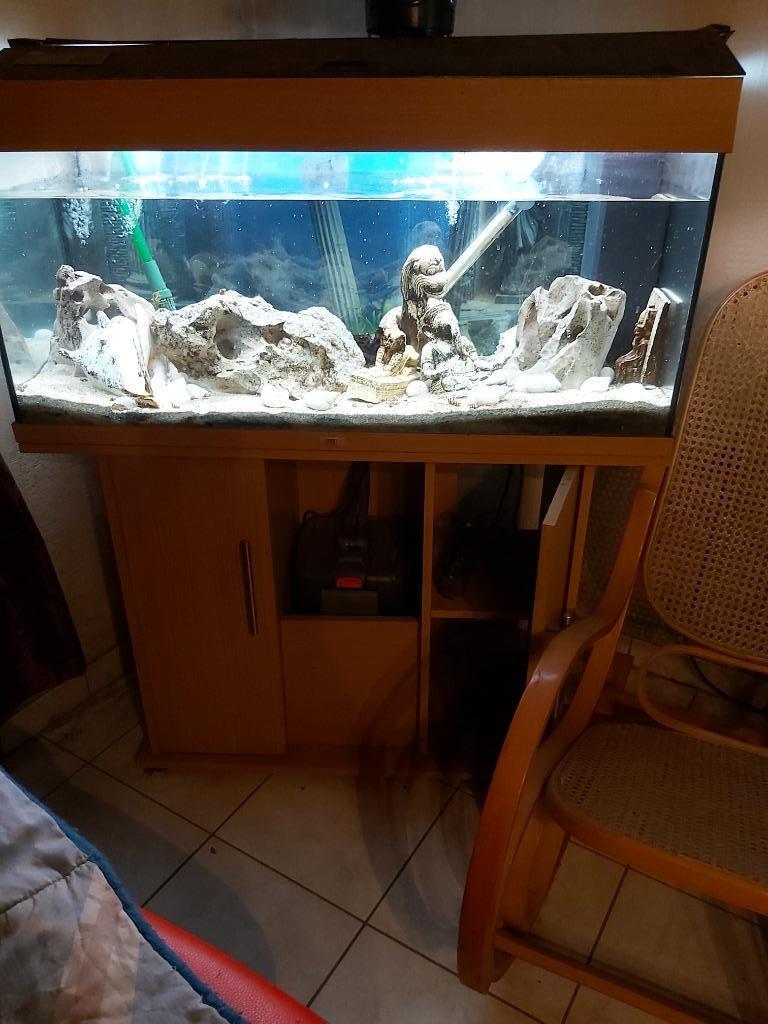 Aquarium Juwel Rio 180 l te koop, Dieren en Toebehoren, Ophalen, Gebruikt, Gevuld zoetwateraquarium