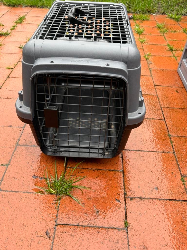 Hondentransportbox, Dieren en Toebehoren, Ophalen, Zo goed als nieuw