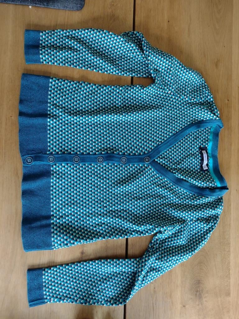 retro truitje maat XL, Ophalen of Verzenden, Nieuw, Maat 46/48 (XL) of groter