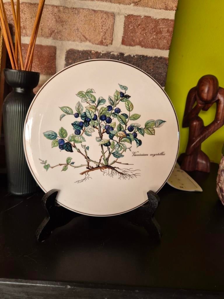 Villeroy Boch Botanica Luxembourg bord, Ophalen of Verzenden