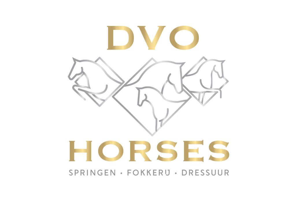 Zadelmak maken van uw paard, Services & Professionnels, Animaux | Chevaux | Soins, Garde & Dressage, Leçons d'équitation ou Stages de poney