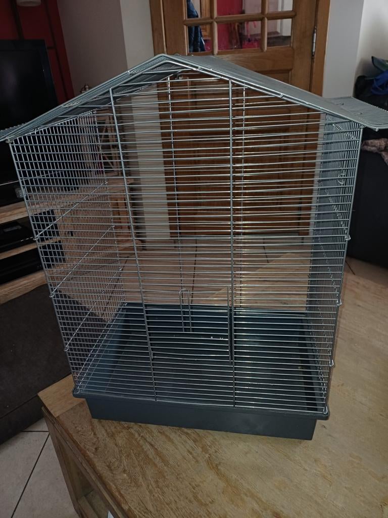 Cage à hamster + accessoires, Souris, Cage, Utilisé, 60 à 90 cm