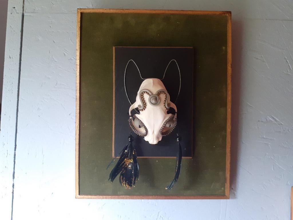 Kattenschedel op vintage kader, Ophalen of Verzenden, Nieuw, Hond of Kat, Schedel