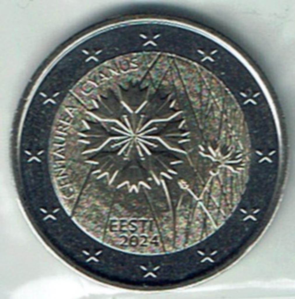 Pièce de 2 euros Estonie 2024 bleuet UNC, Timbres & Monnaies, Monnaies | Europe | Monnaies euro, Envoi, Estonie, 2 euros, Monnaie en vrac