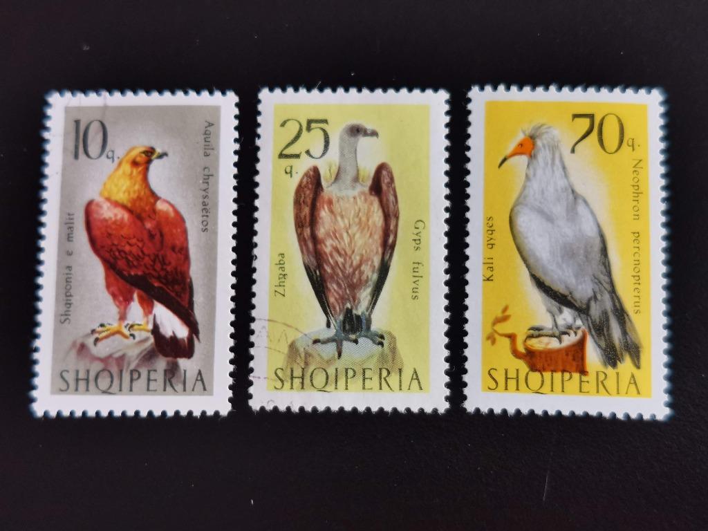 Albanie 1966 - oiseaux - oiseaux de proie, Enlèvement ou Envoi, Autres pays, Affranchi