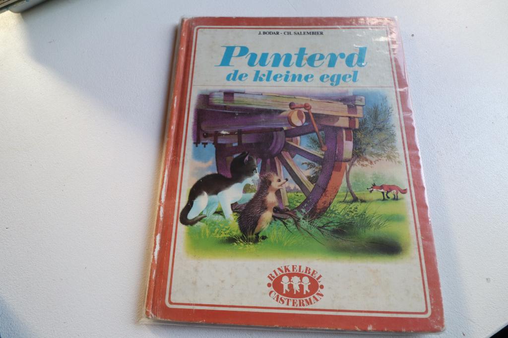 J'ai punché le petit hérisson, Garçon ou Fille, Fiction général, Utilisé, 4 ans