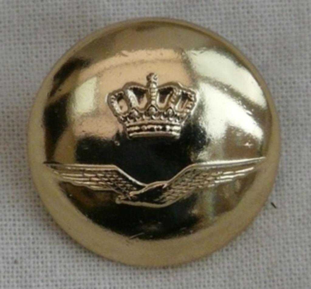 Knoop, Uniform DT, Koninklijke Luchtmacht, 22mm, 1 stuks.(2), Verzamelen, Militaria | Algemeen, Luchtmacht, Overige typen, Ophalen of Verzenden