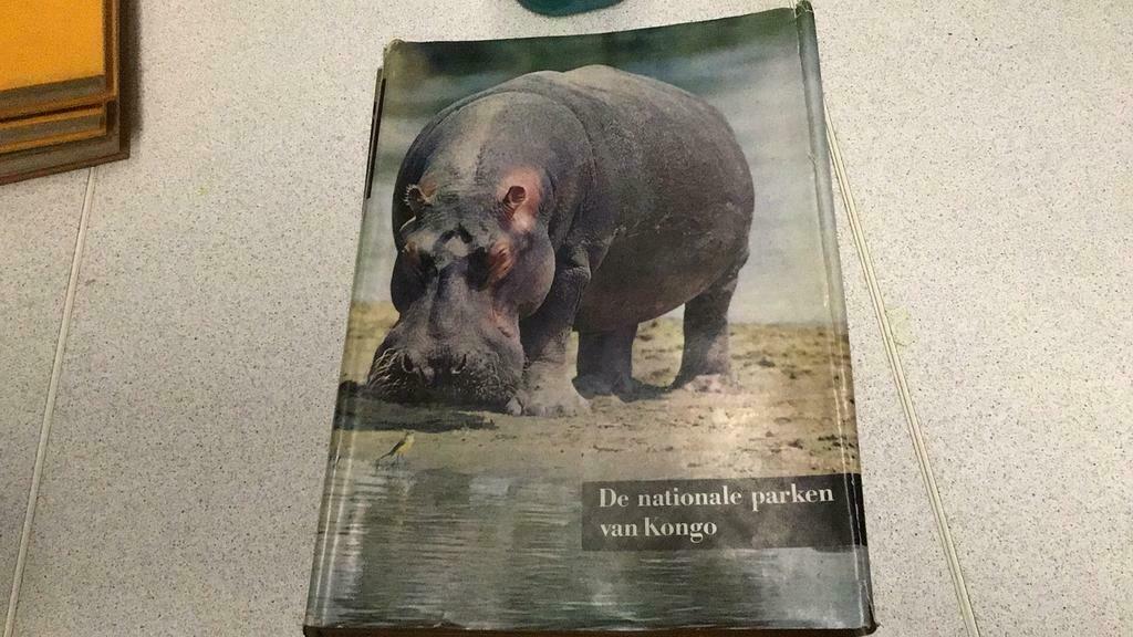 Artis nationale parken van Kongo (zk4), Ophalen of Verzenden, Gelezen, Artis, Prentenboek