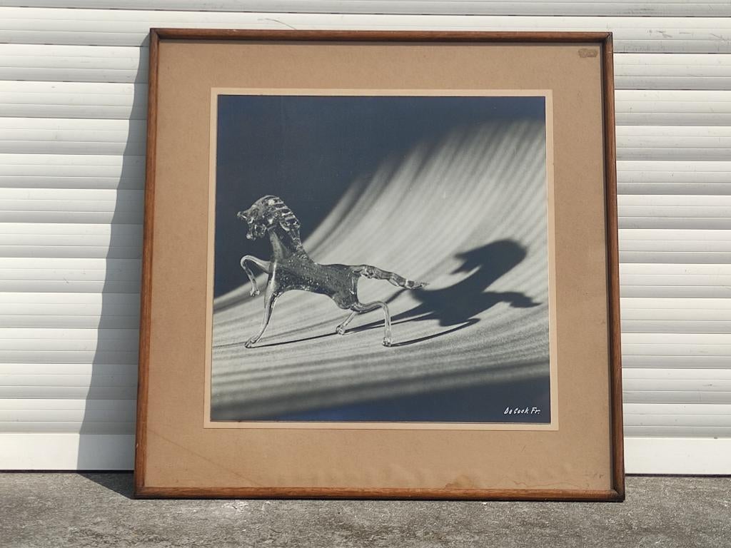 photographie signe decock fr, Antiek en Kunst, Ophalen of Verzenden