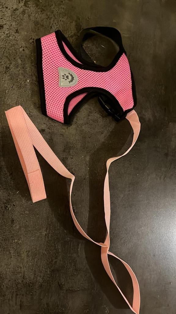 Harnas met leiband, Dieren en Toebehoren, Ophalen, Nieuw, Hondenriem