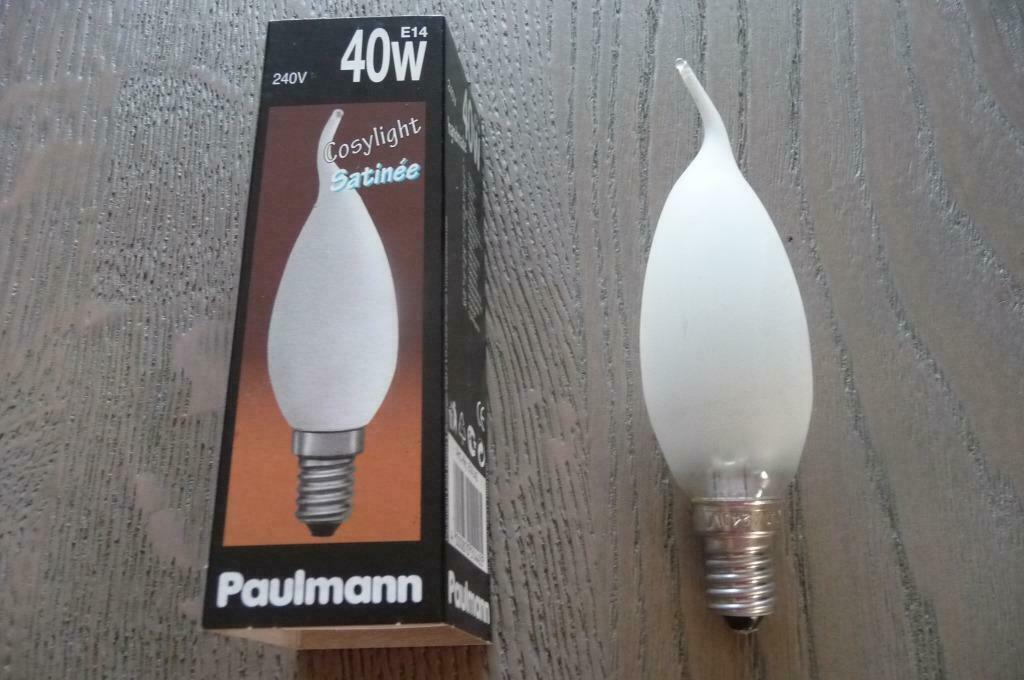 Sfeerlampen Cosylight Satinée 40W Paulmann, Enlèvement ou Envoi, Utilisé, Verre