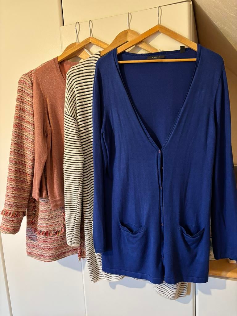 Gilet trui jasje 40-44, XL, Kleding | Dames, Ophalen, Zo goed als nieuw