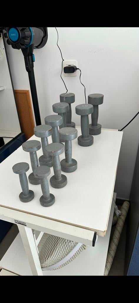 Lot de 11 haltères, Enlèvement, Utilisé