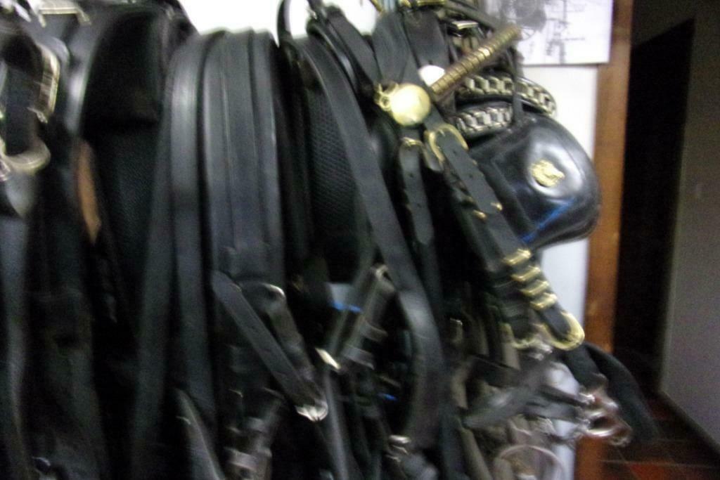 Paardengetuig Cob, Ophalen of Verzenden