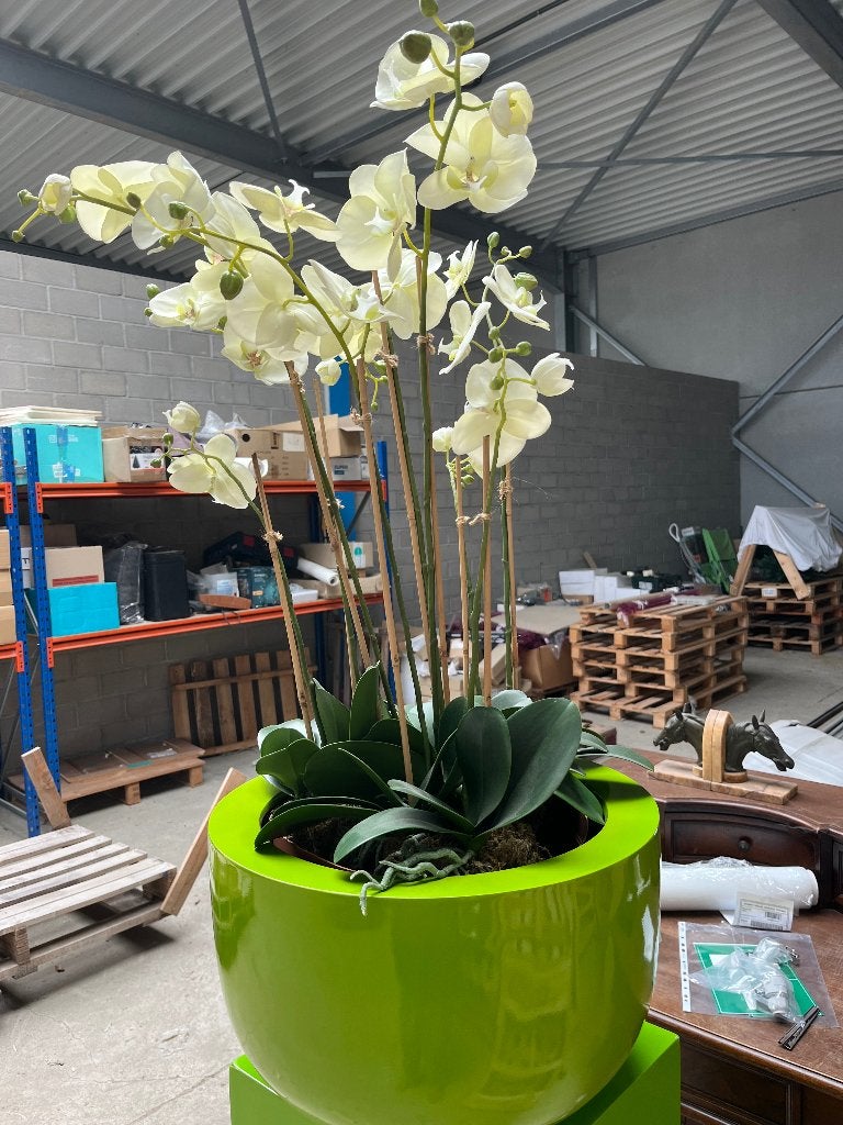 kunstbloemen orchidee, Ophalen, Binnen, Kunstbloem, Kunststof