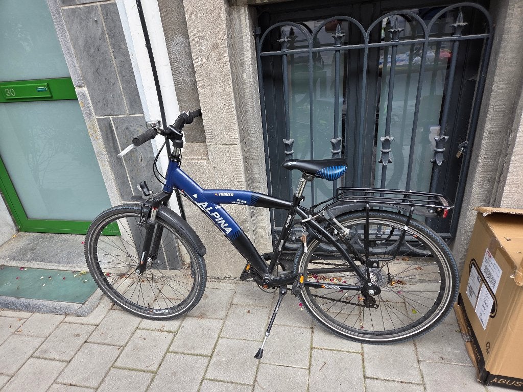 Alpina fiets, Gebruikt, Velgrem, Alpina, Handrem