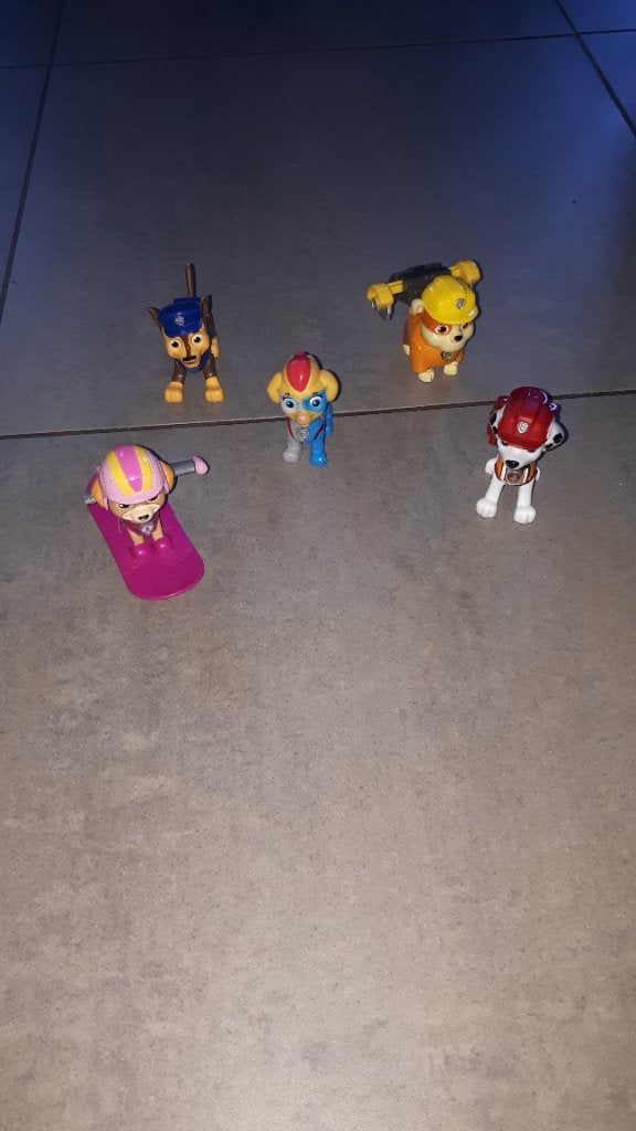 Paw patrol mannetjes, Enlèvement, Comme neuf