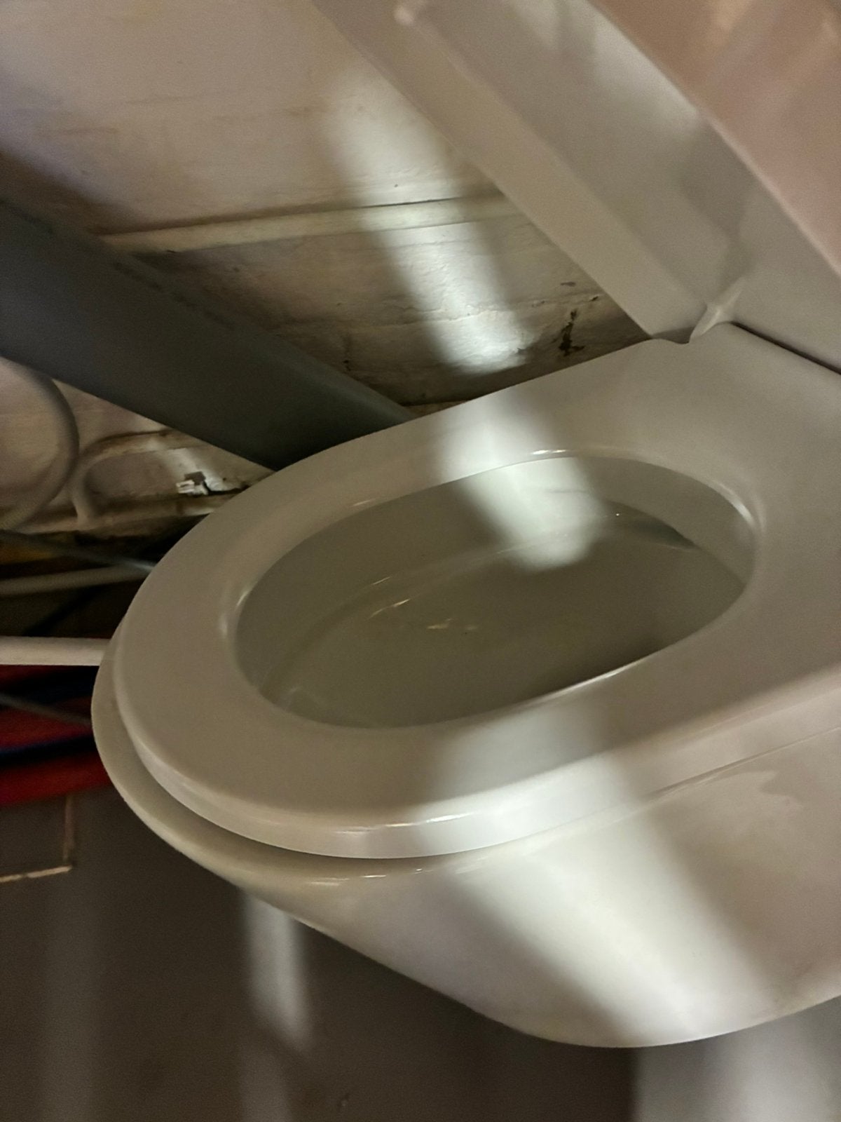 Nieuw toilet, Bricolage & Construction, Sanitaire, Enlèvement, Neuf, Pierre, Toilettes