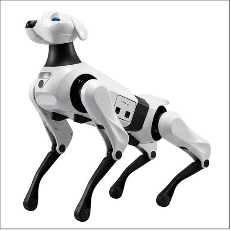 ROBOTHOND - QUADRUPED, Plusieurs animaux, 8 à 15 semaines, Plusieurs, Étranger