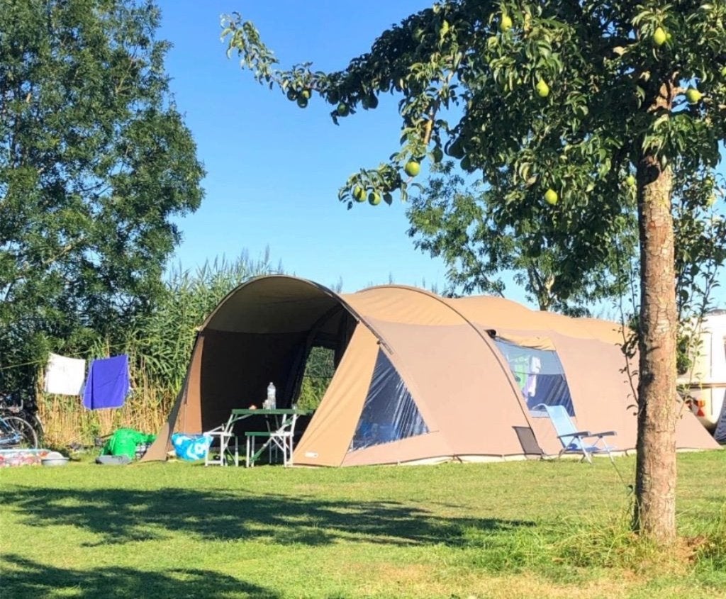 Tente tunnel Falco Havik 4600, Caravanes & Camping, Enlèvement, Utilisé, Jusqu'à 6