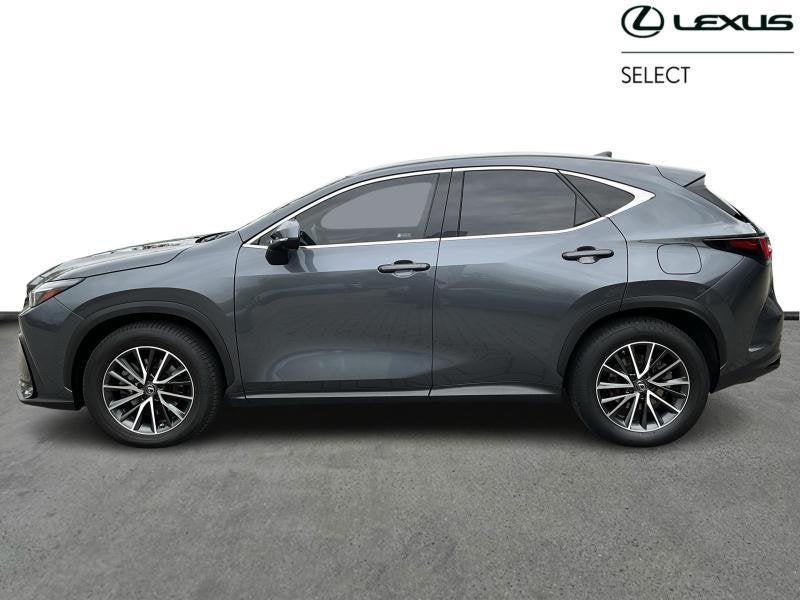 Lexus NX Executive Line FWD | 360 camera, Autos, Lexus, Electronic Stability Program (ESP), Achat, 2487 cm³, 244 ch