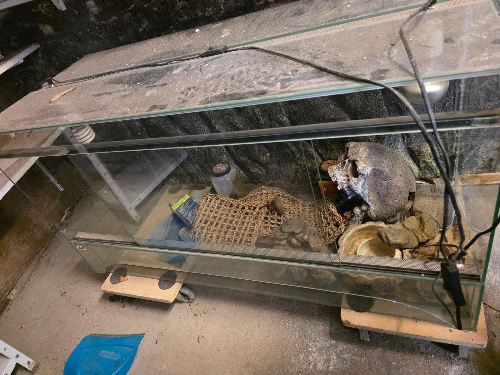 terrarium, Ophalen, Gebruikt, Terrarium of Paludarium