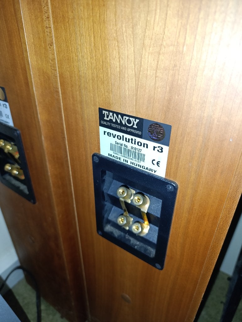 Tannoy Revolution R3 – Paire d'enceintes Hi-Fi audiophiles, TV, Hi-fi & Vidéo, Enceintes, Enlèvement, Utilisé, Enceinte colonne