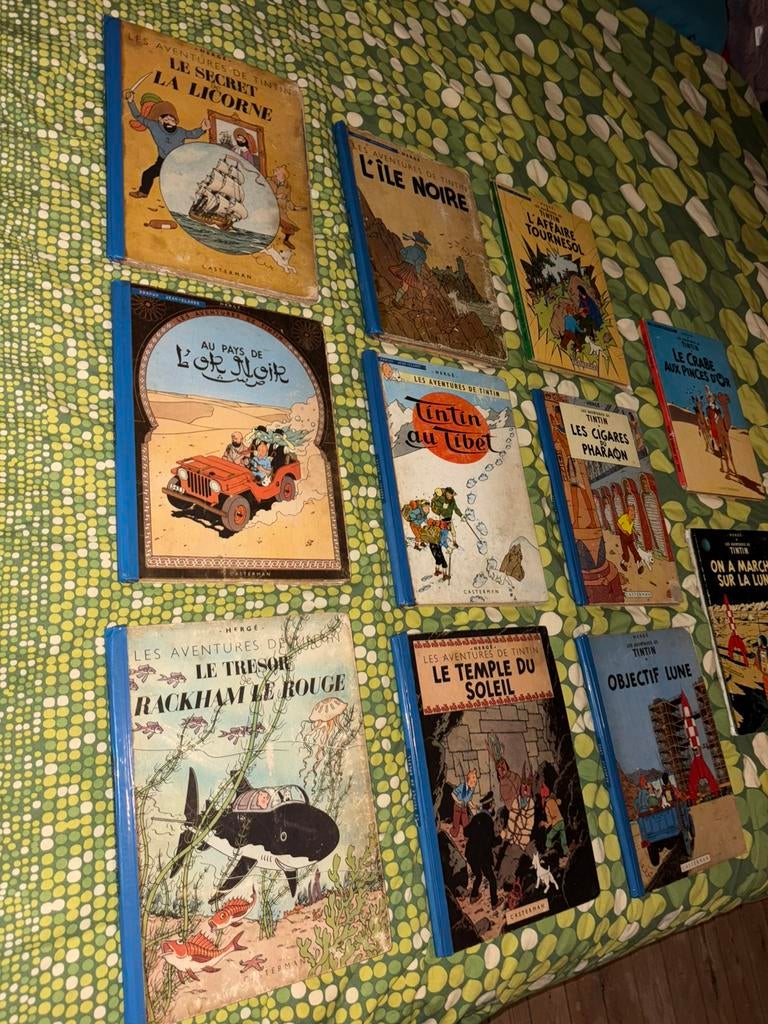 Tintin jaren 60, Boeken, Ophalen of Verzenden, Gelezen