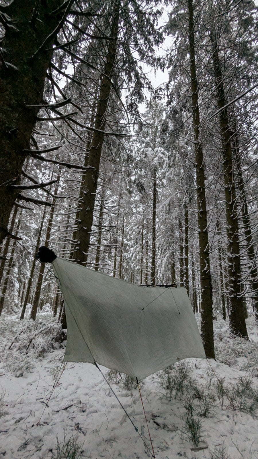 Tarp with Dyneema Composite Fabric - dutchwaer, Enlèvement ou Envoi, Comme neuf