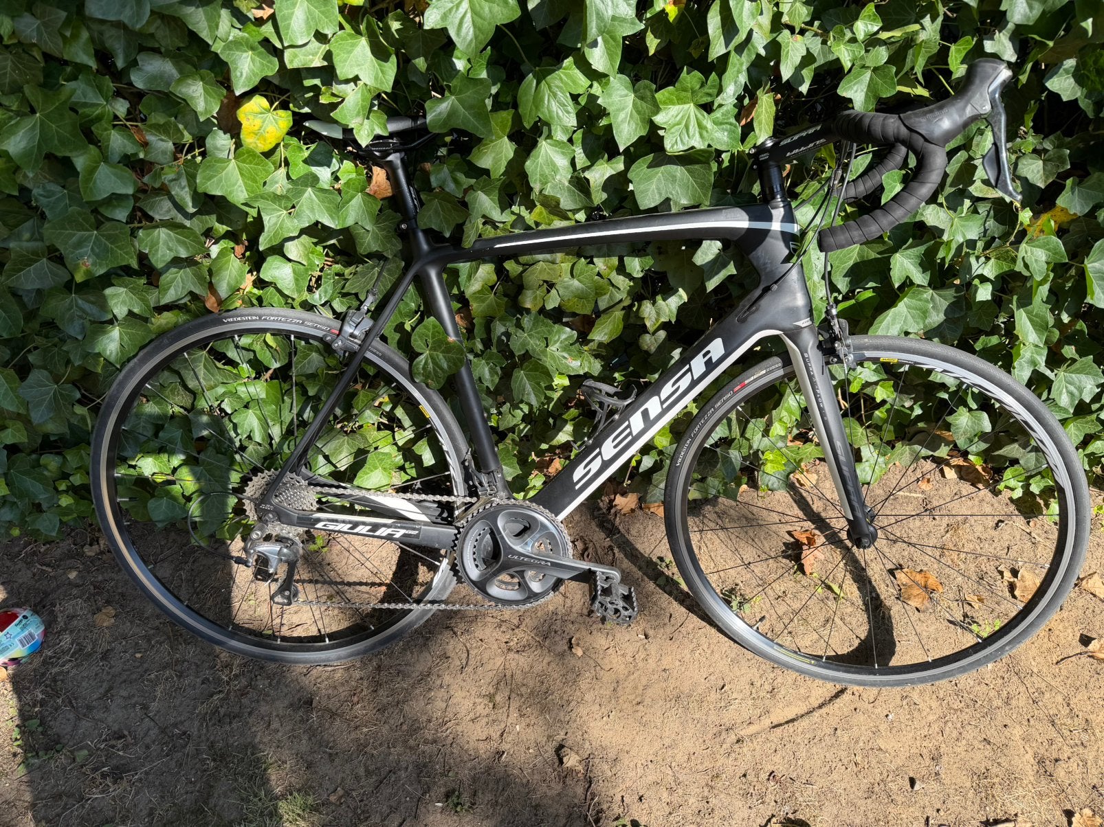 Sensa Giulia G2 carbon racefiets - Shimano Ultegra, Ophalen, Gebruikt, Carbon