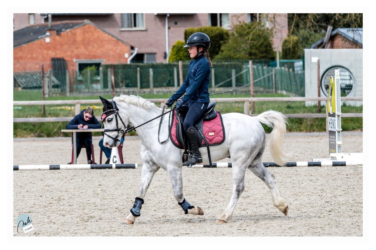 B pony te koop, Dieren en Toebehoren, Pony's, Ruin, B, 11 jaar of ouder