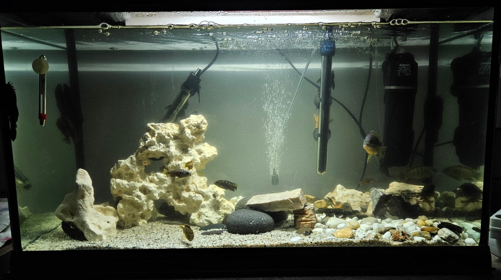 Aquarium 120L, cayman 80 prof, met vis en decoratie., Dieren en Toebehoren, Ophalen, Gebruikt, Overige typen, Overige merken