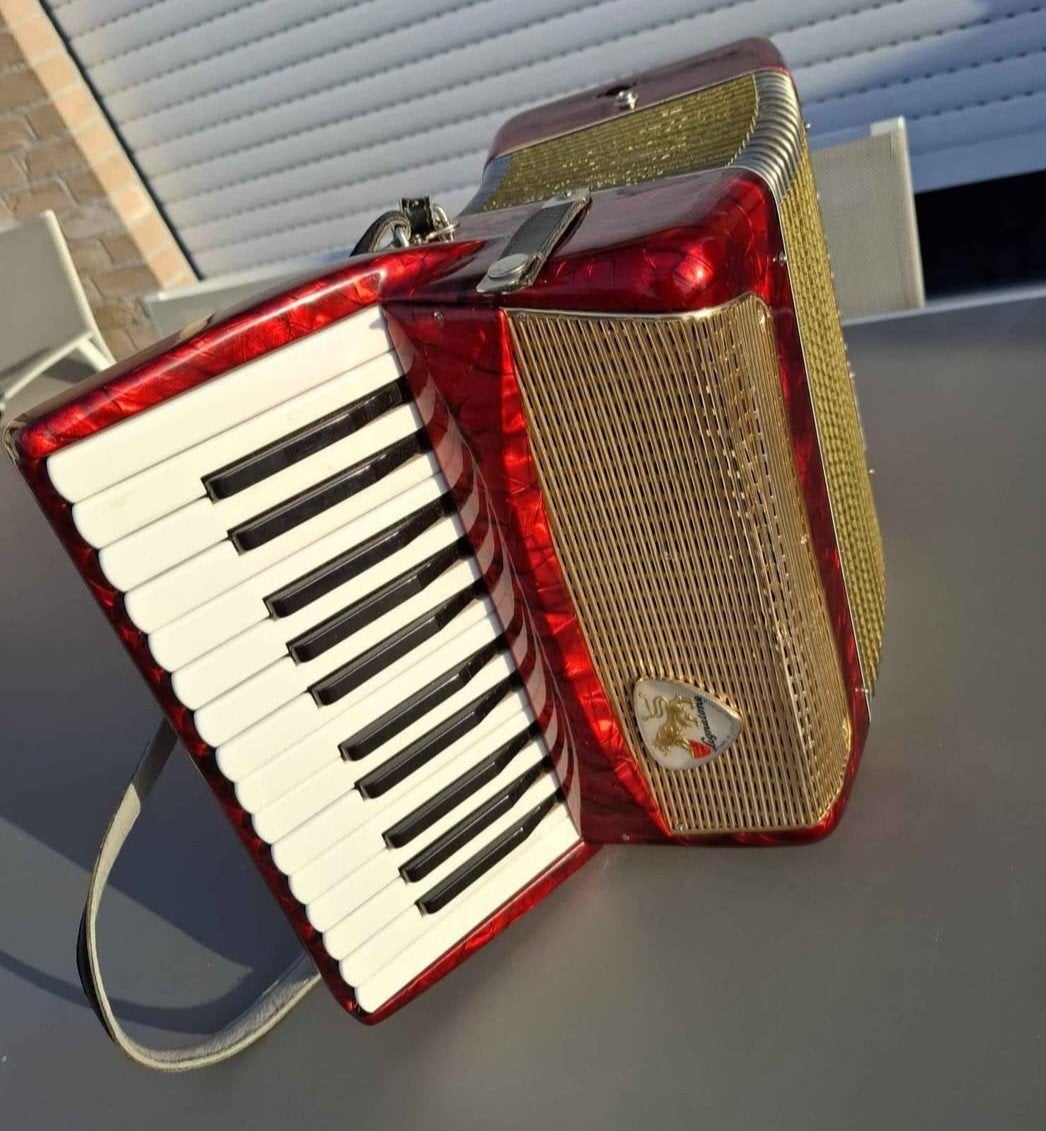 Lignatone piano-accordeon, Musique & Instruments, Accordéons, Enlèvement