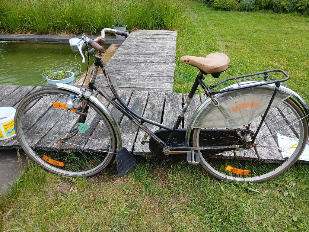 Oude omafiets, 47 à 51 cm, Frein à rétropédalage, Enlèvement, Années 60 ou plus récent