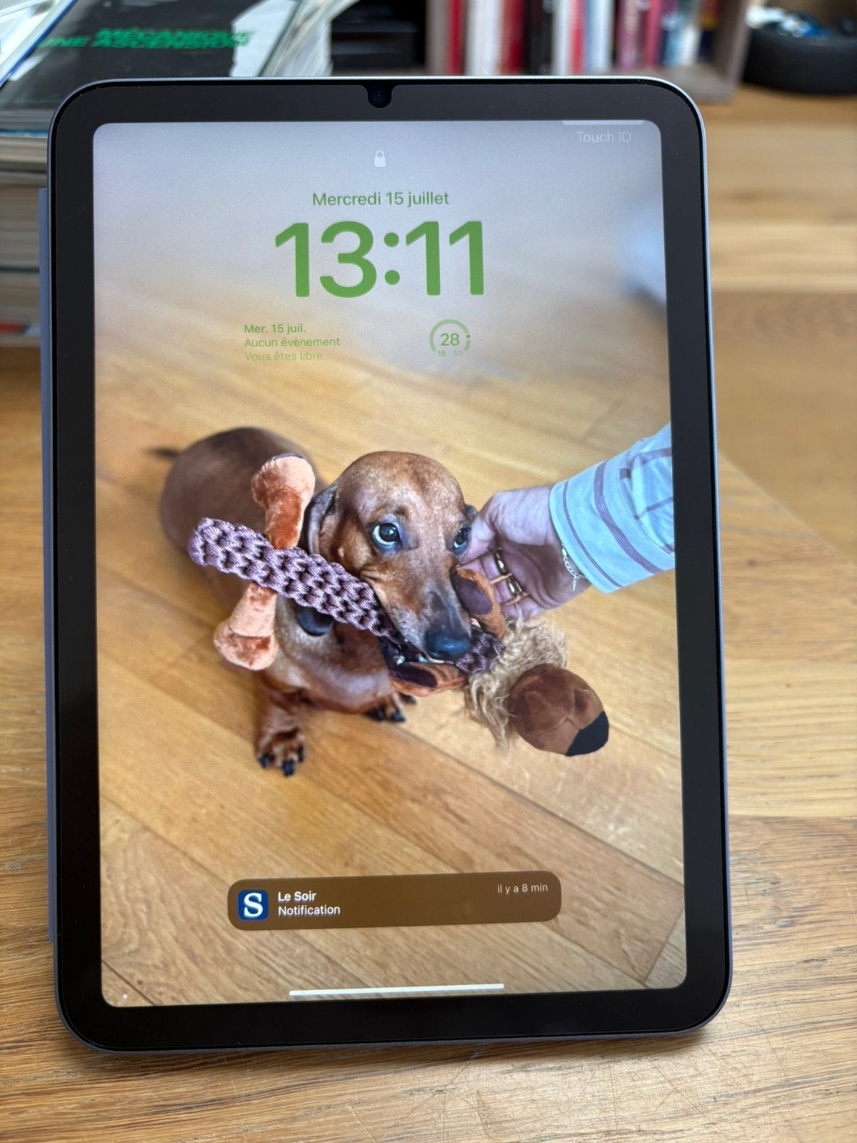 iPad mini 6 (2021) – 256 Go – État impeccable, Informatique & Logiciels, Apple iPad Tablettes, Enlèvement, Comme neuf, Apple iPad Mini