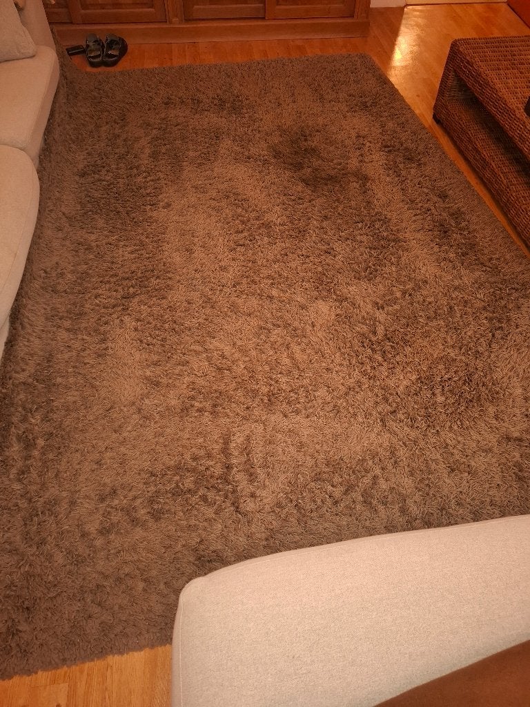 Bruin hoogpolig tapijt / vloerkleed – 3m x 2m – Goede staat, Huis en Inrichting, Ophalen, Gebruikt, Bruin, 200 cm of meer
