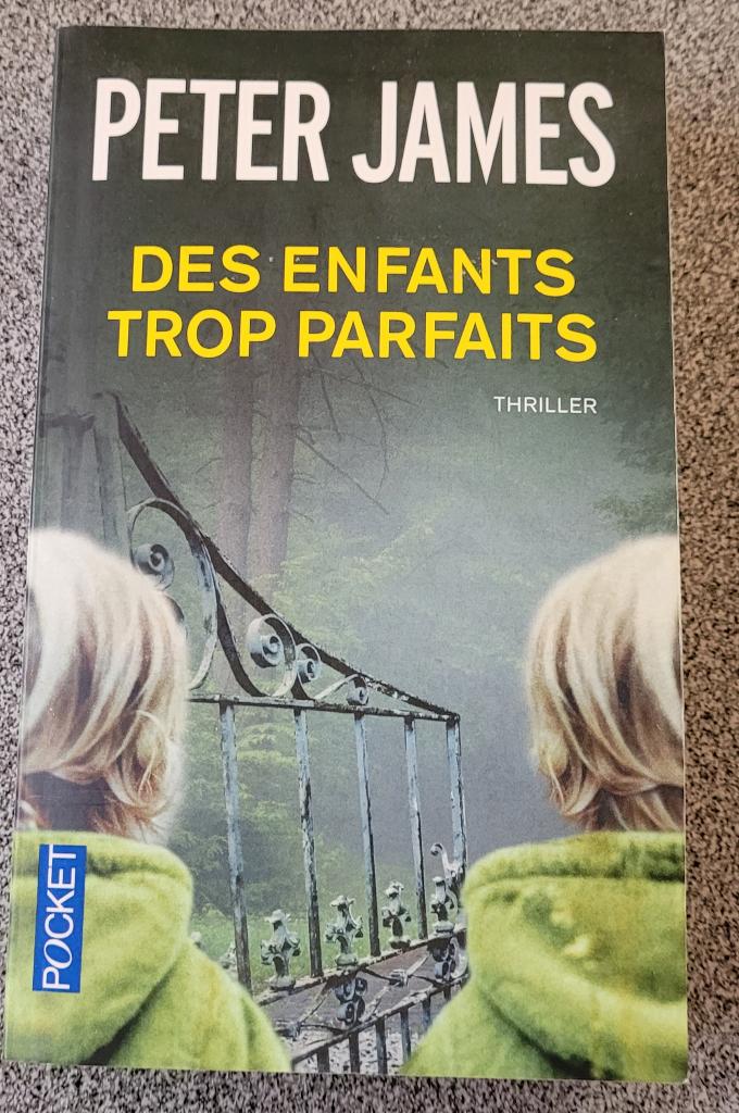 Thriller Visionnaire "Des enfants trop parfaits" Peter James, Enlèvement, Neuf, Peter James