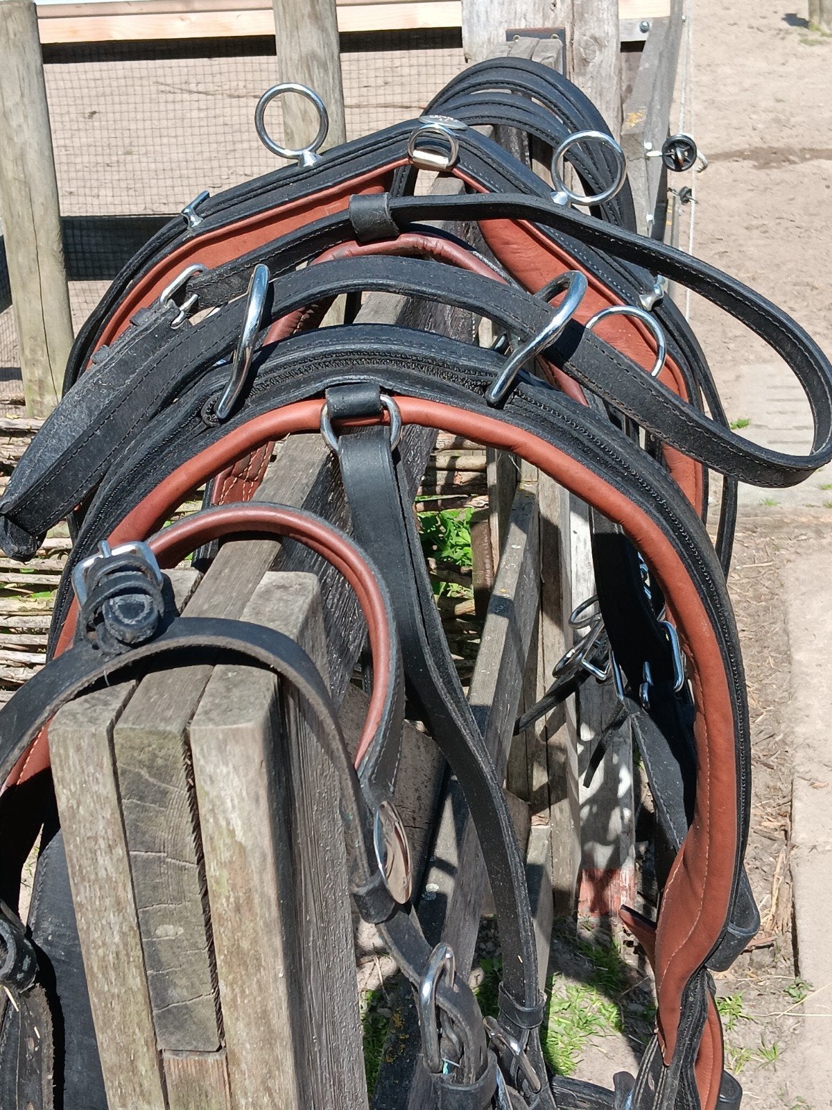 Ideal Equestrian tweespan tuig, Dieren en Toebehoren, Paarden en Pony's | Hoofdstellen en Tuigage, Ophalen