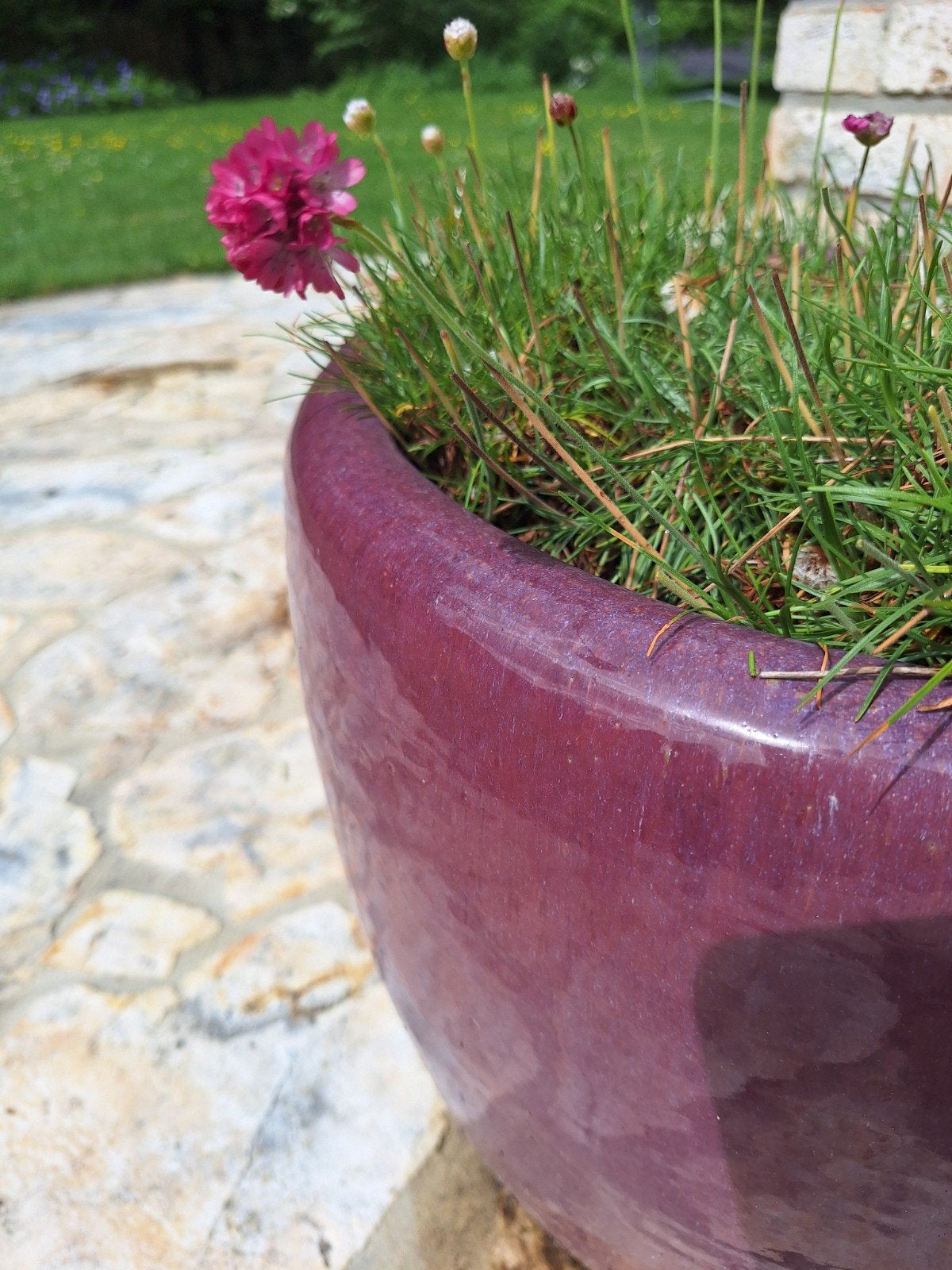 Bloempot paars, Tuin en Terras, Ophalen