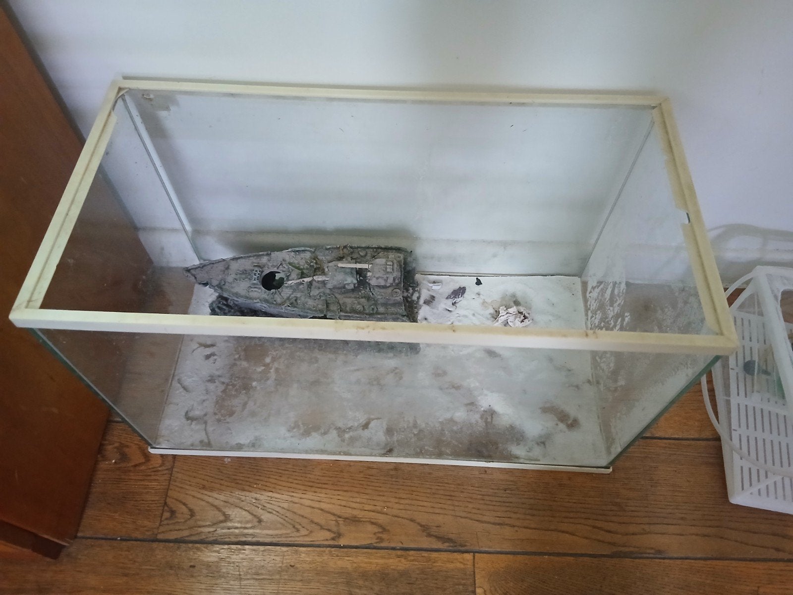 aquarium a donner, Animaux & Accessoires, Enlèvement