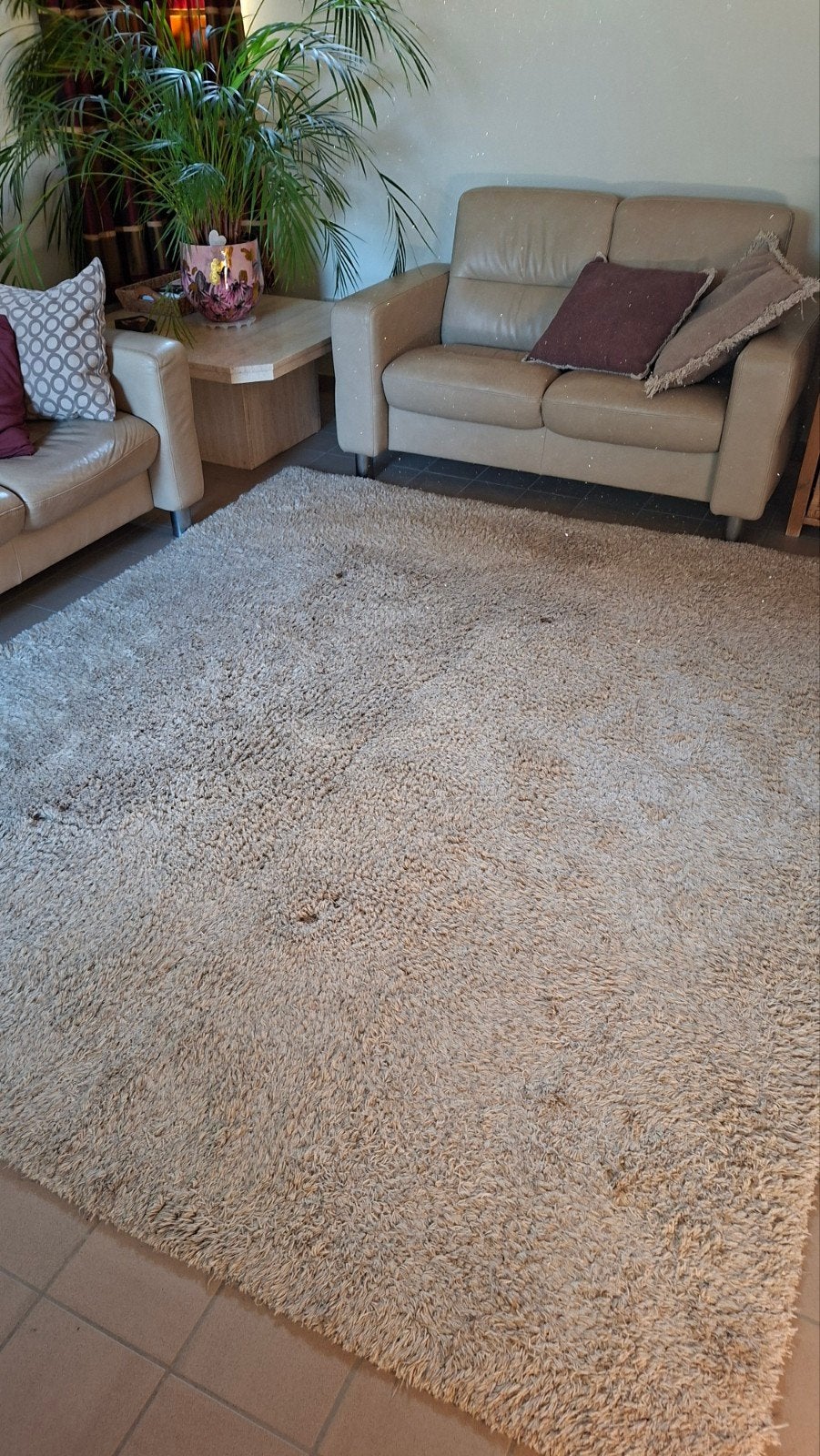 tapijt, 200 cm ou plus, Beige, 150 à 200 cm, Enlèvement