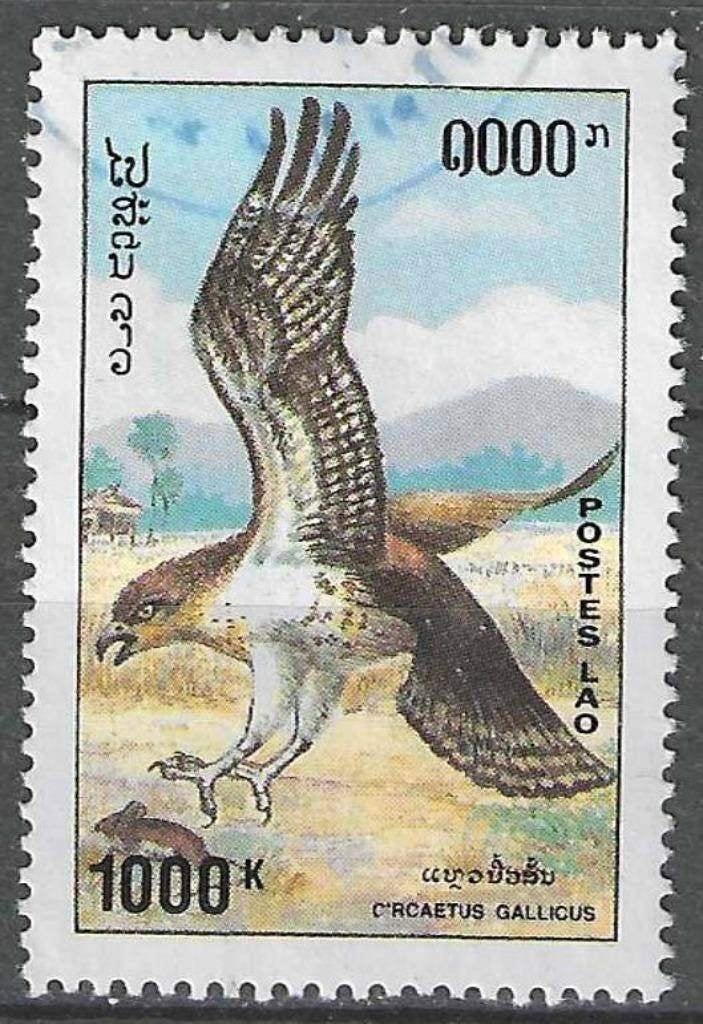 Laos 1993 - Yvert 1101 - Oiseau proie Circaetus allicu (ST), Envoi, Affranchi