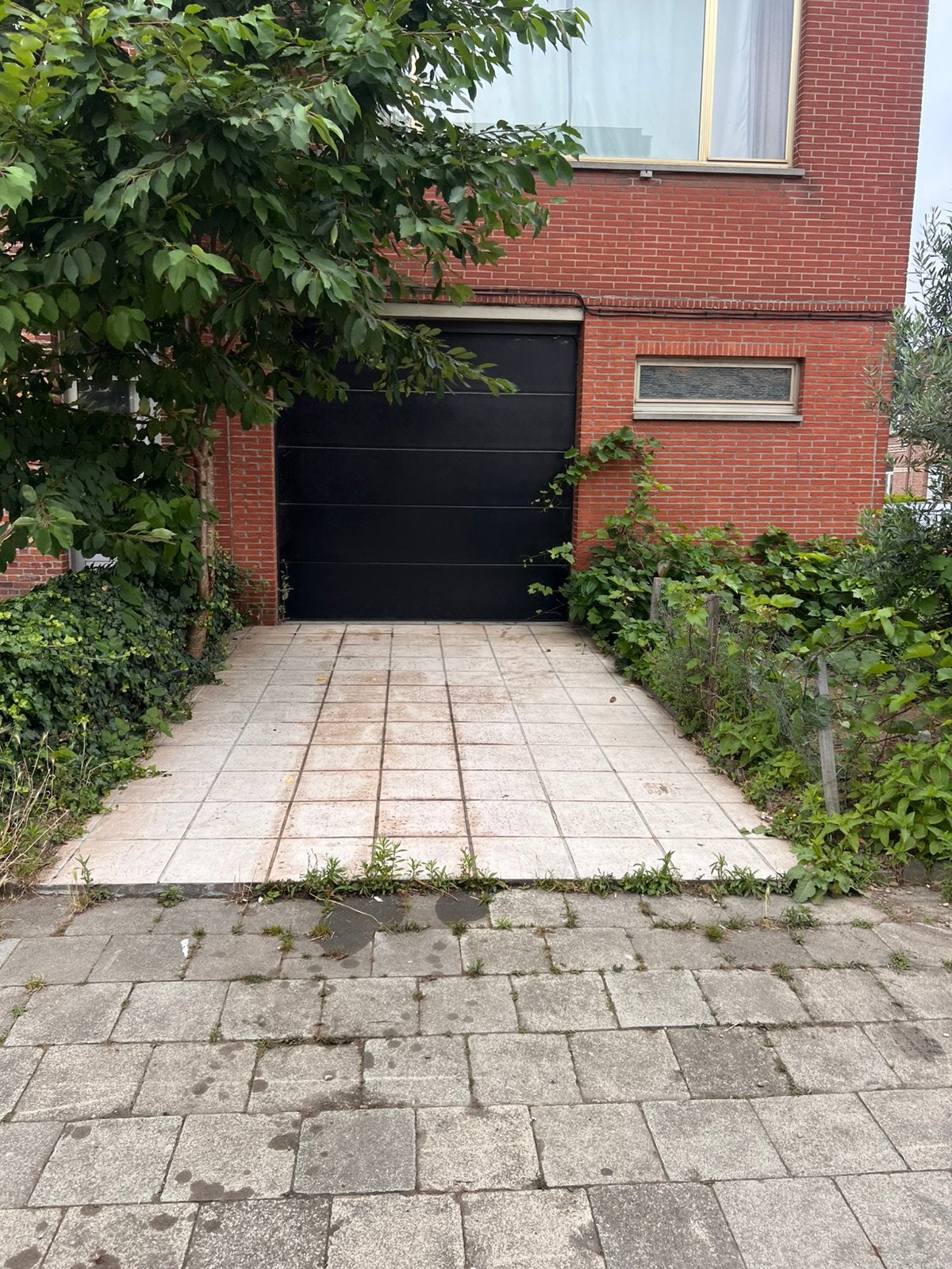 Magazijn ge huur 40m2 berchem, Anvers (ville)