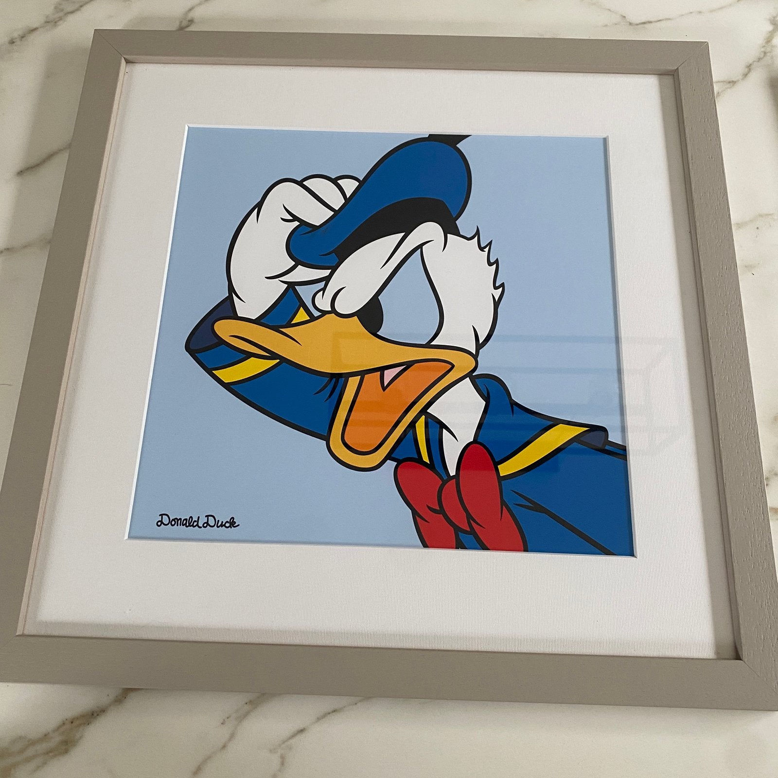 Prachtige Set van 2 Disney Pop-Art Schilderijen, Ophalen of Verzenden, Zo goed als nieuw, Minder dan 50 cm, 5 – 50